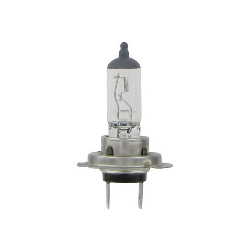 Lampe H7 12/24V Lampe H7 12/24V