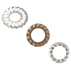 Rondelles Eventail